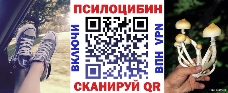 Галлюциногенные грибы мухоморы  Купить где  Тихорецк 